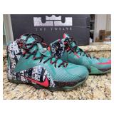 NIKE LeBron James The 12 Xmas 'Akron Birch' Menï¿½s