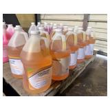 TEN 1-Gallon Jugs Health Guard Foaming Advanced