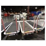 PONY EXPRESS ELECTRIC CART. LOW CAPACITY 2000