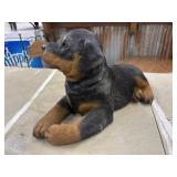 Sandicast Sculpture RottWeiler Dog