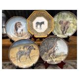 Jungle Animal decorative plates. Zebras, lion,