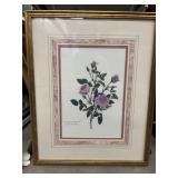 Framed vintage botanical print features a classic