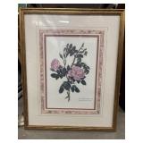 Vintage framed botanical rose print features a