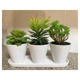 3pc Faux Succulents in White Planters on Tray