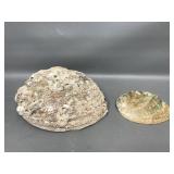 Vintage Abalone Shells