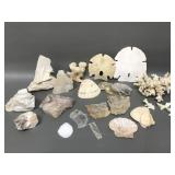 Quartz, Mica, Coral, Shells & More!