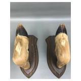 Taxidery Deer Or Elk Mounted Hoof Wall Hooks