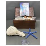 Wooden Box Filled With Seashells, Starfish, Coral