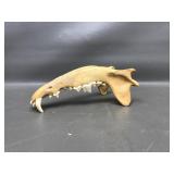 Tazmanian Devil Jawbone