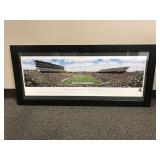 Msu Framed Photogragh Of Spartan Stadium