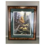 Framed Print 'timber Wolf' By Rudi Reichardt