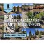 Online Auction | Nursery Landscaping Plants, Trees, Shrubs & More