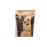 Entire Closet including Dresser
