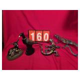 Mexican Iguanas bird fawn