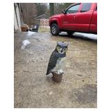 owl decoy