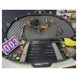 Micheals compound bow solo cam