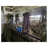 horse tack