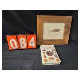 diplomystus fossil framed and book