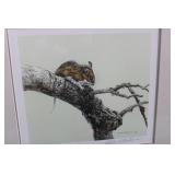 White Footed Mouse / Signed Robert Bateman 18/20