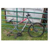 B Twin Mountain Bike