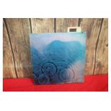 Pink Floyd Meddle  Vinyl Record