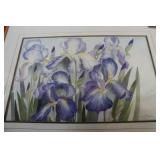 Spring Irisis Watercolour Painting  J.McAvellla