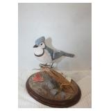 Carved Wooden Blue Jay Bird  Signed