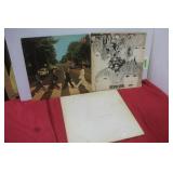 The Beatles Vinyl Records