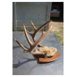 Vintage Cottage or Cabin Decor