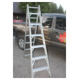 Aluminum Ext Ladder