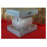 Pottery Piggy Bank