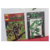 #1 Teenage Mutant Ninja Turtles & Rafael Comics