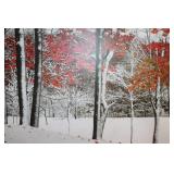 Hardwood In Winter Wall Art
