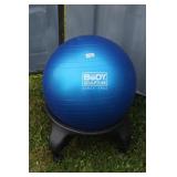 Body Sculpture Exercise Ball