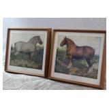 Belgain Mare & Stallion Artwork
