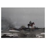 'Checking For Strays' Marten Solberg L/E Art