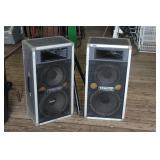 Traynor CS-1012H  Speakers