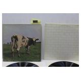 Pink Floyd Vinyl Records