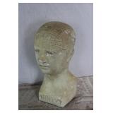 Phrenology Bust