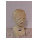 MCM Phrenology Bust