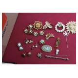 Vintage Broach Jewellery Collection