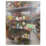 5 shelves of assorted pots and plants