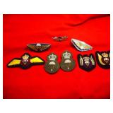 CANADIAN FORCES PARA INSIGNIA