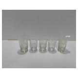 5 Etched Glass Tumblers