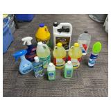 Household Cleaning Products and Solutions
