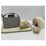Polaroid Model 104 Camera and 3 Sea Shells