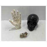 Phrenology Hand, Skull Model, and Rock Specimen Se