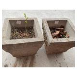 Cement Planters with Plants, 10x10x10