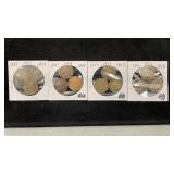 (12) Indian Cents 1888-1908