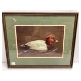 Framed Duck Photo Print, 17x21 Inches